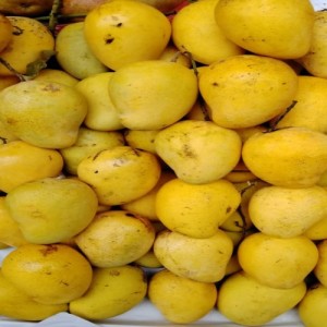 Thai Mango 1Kg