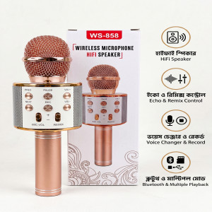 WS-858 Wireless Karaoke Microphone with Built-in HiFi Bluetooth Speaker – Portable Handheld KTV Mic & Voice Changer