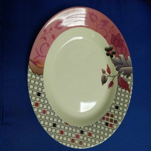Rojonigondha melamine Plate set 6 pcs