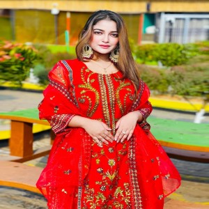 Pakistani Catalog dress-05