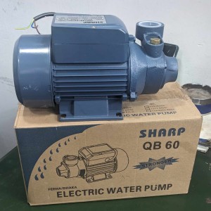 Sharp 0.5 HP Motor Pump