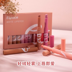 Espoce new matte lipstick set