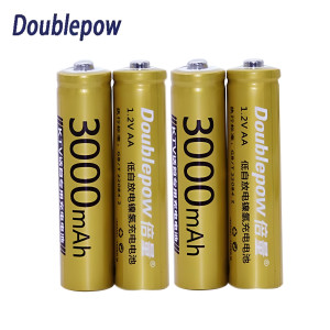 Doublepow AA 3000mAh Ni-MH Rechargeable Battery