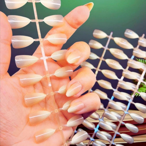 artificial press-on nail tips 5set 5 colour best price in bd | Products | B Bazar | A Big Online Market Place and Reseller Platform in Bangladesh