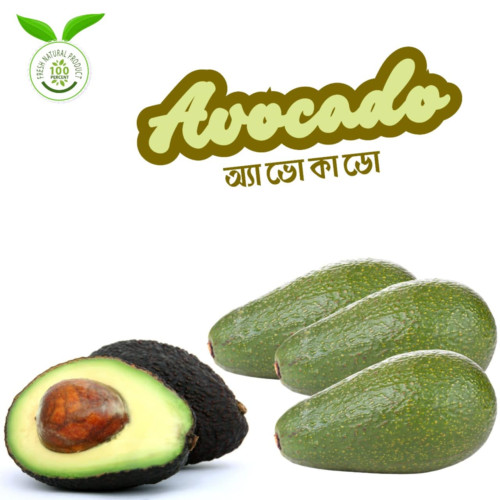 Avocado Fruit | Products | B Bazar | A Big Online Market Place and Reseller Platform in Bangladesh