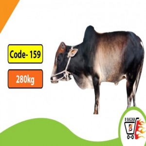 Organic Black cow 280kg-395tk