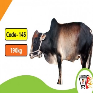 Organic Black cow 190kg-395tk