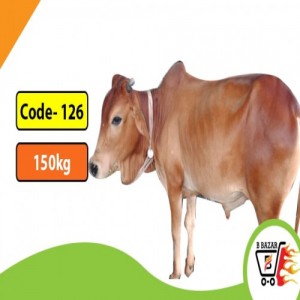 Organic red cow 150kg-425tk