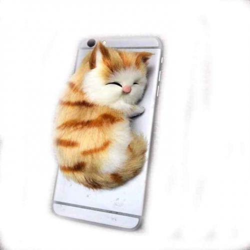 cute kitty pop sockets | Products | B Bazar | A Big Online Market Place and Reseller Platform in Bangladesh