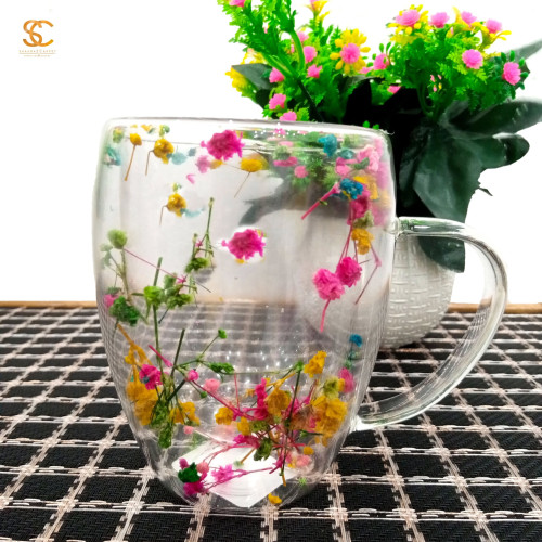 Everlasting Flower or Strawflower | Products | B Bazar | A Big Online Market Place and Reseller Platform in Bangladesh