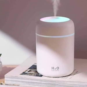 H2O HUMIDIFIER Price in Bangladesh